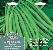 CLIMBING FRENCH BEAN 100 Seeds