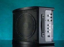 TRAPS AP30 Full Range Monitor