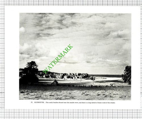 Alnmouth northumberland - alnmouth,