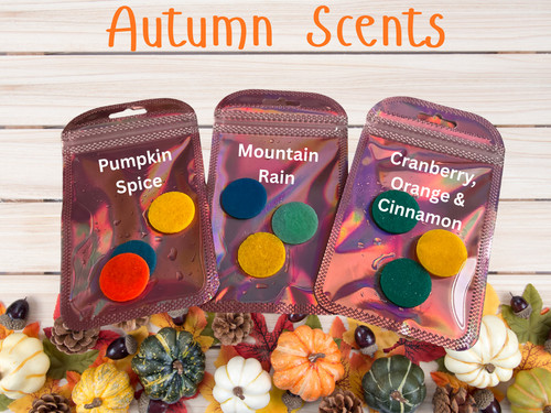 Scented vacuum freshener - scented, discs
