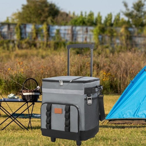 Cooler bag rolling - cooler,