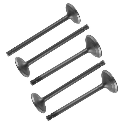 Intake exhaust valve for - intake, &
