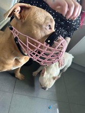 XL BULLY/ROTTWEILER & LARGE DOG MUZZLE 117 NYLON