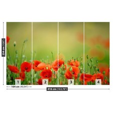 Photo wallpaper Wall mural Removable Self-adhesive Poppy flowers
