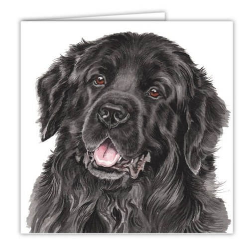 Newfoundland dog card - dog,