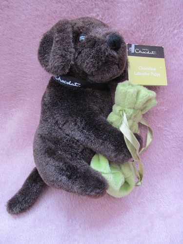Hotel chocolat chocolate - hotel,