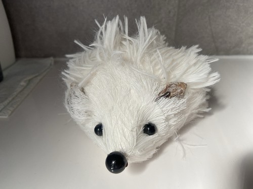 Cute fluffy white - fluffy,