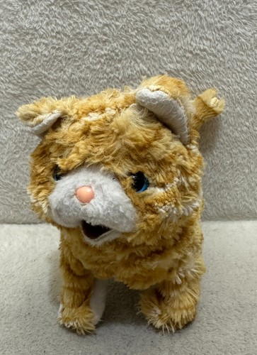 Hamleys ginger orange - , tabby