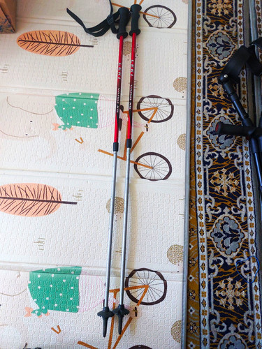 2xleki ski poles pair - 2xleki,