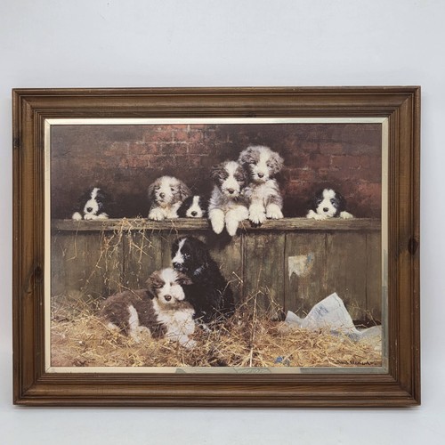 David shepherd muffin pups - david, muffin's