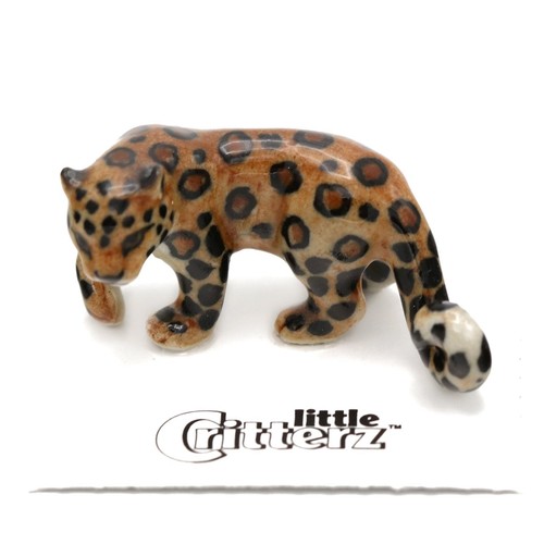 Little critterz leopard amur - leopard,