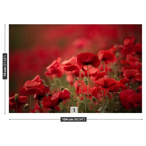 Photo wallpaper wall mural - photo,