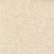 Caravan Wallpaper Repair Patch