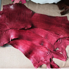 1X Genuine Red Ostrich Leg