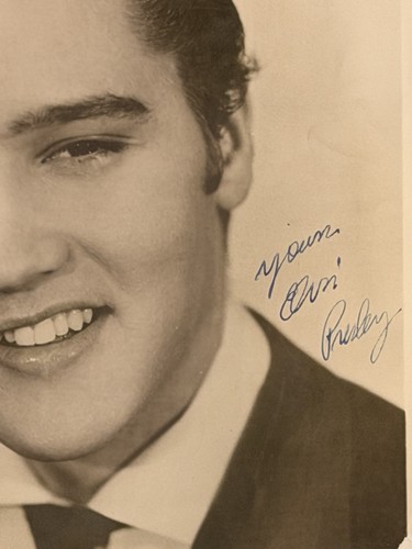Elvis presley bob - /,