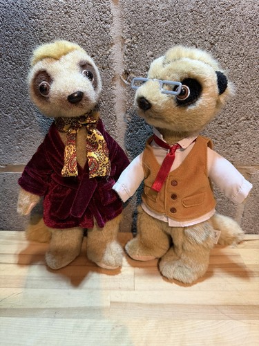 Compare the meerkat aleksander - compare,