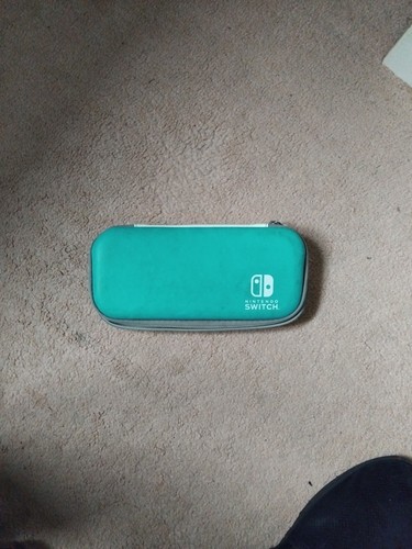 Carry case for nintendo - carry,