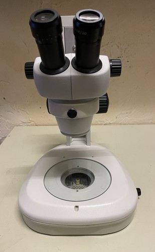 Stereo zoom microscope - stereo,