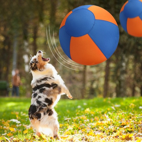 55cm sheepdog herding - sheepdog,