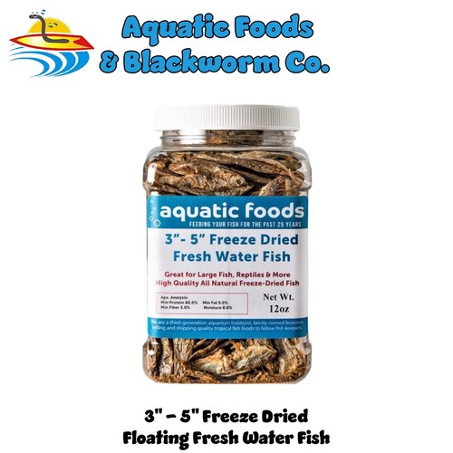 Fresh water fish - fresh,