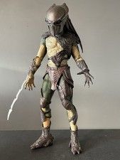 Predators Falconer Predator