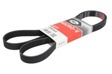 GAT multi - ribbed belt fits