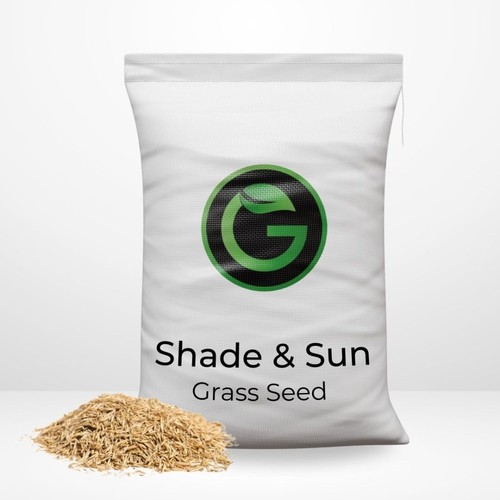 Shade sun grass seed - grass, lawn