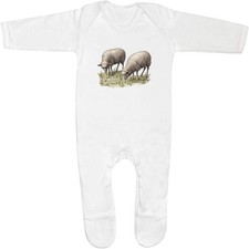 Grazing sheep baby - 'grazing, sheep'
