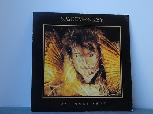 Space monkey one - one, shot
