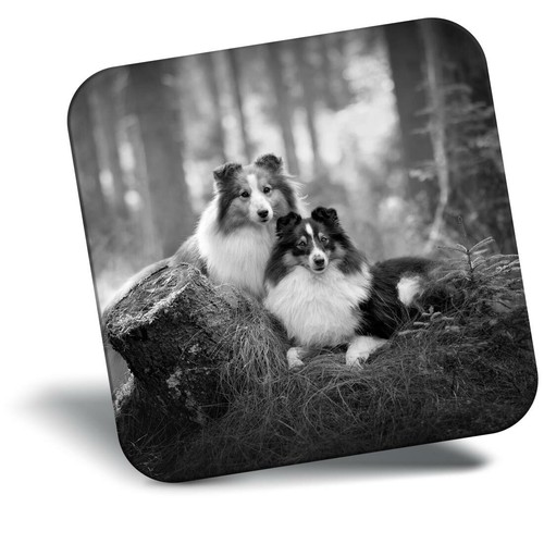 Awesome fridge magnet - fridge, bw