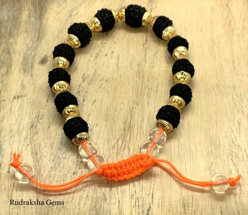 Rudraksha rudraksh ebony - rudraksha,