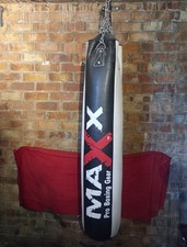 Punch Bag With gloves and