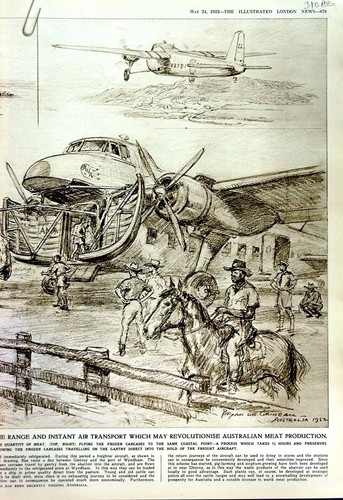 Old vintage print 1952 cattle - old,