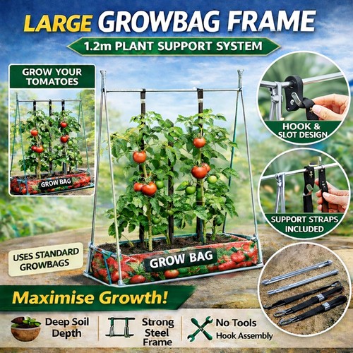 Growbag outdoor garden tomato - garden,