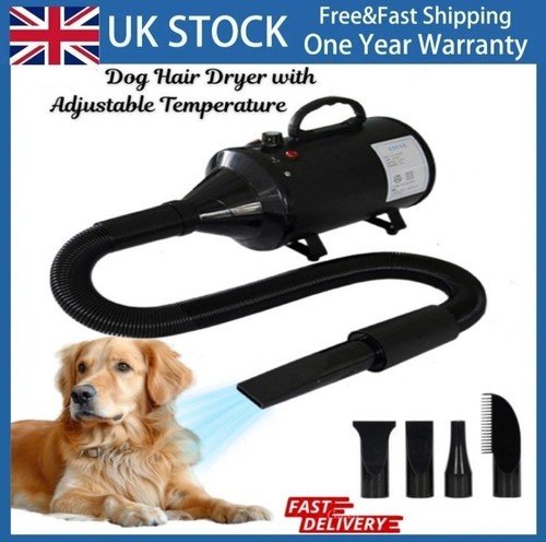 Dog cat pet hair dryer - cat,