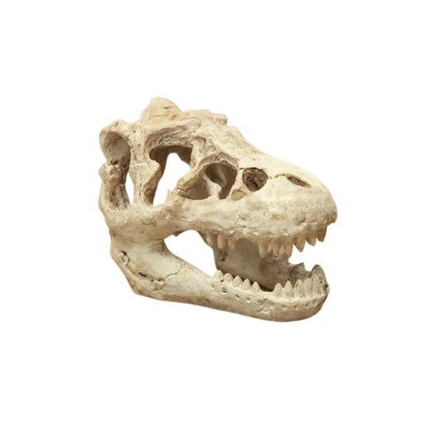 Small nano aquarium dinosaur - nano,