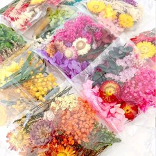Real Dried Flower For DIY Art