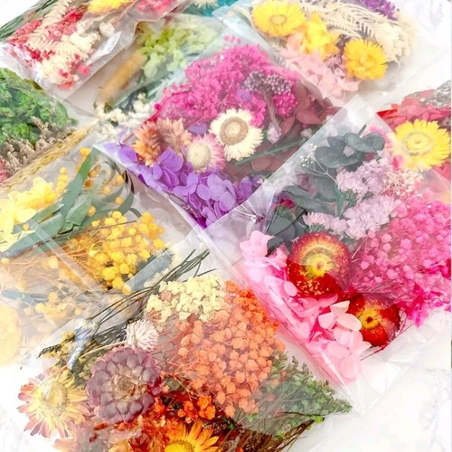 Real dried flower for diy - real,