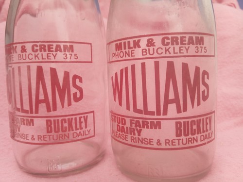 Vintage retro william stud - vintage,