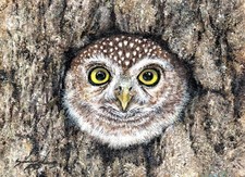 Original Oil Painting - Little