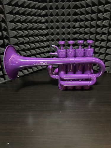 Coolwinds plastic piccolo - coolwinds,