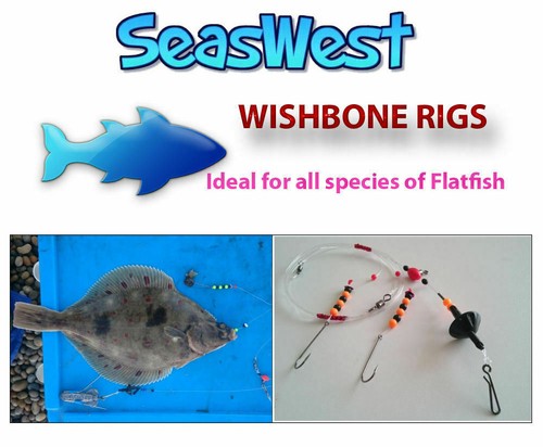 Long distance plaice - distance, plaice/flattie