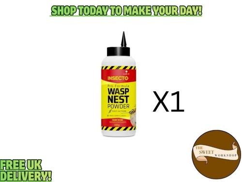 Insecto indoor outdoor wasp - insecto,