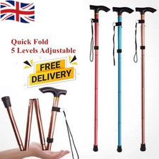 Walking Stick Easy Fold