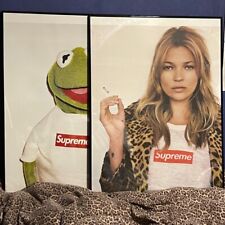 Supreme Kermit Kate Moss Posters Framed Store 24x30''