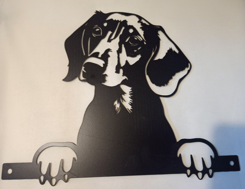 Peeking dashund dog fence - dog,
