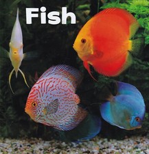 Fish Children's Fact Learning Book age 4-8 New Lots of Pictures Education