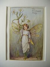 Vintage Flower Fairies Print & Mount The Stitchwort Fairy Cicely Barker c1930s
