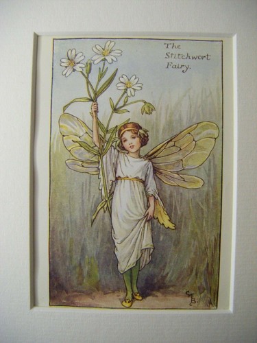 Vintage flower fairies - vintage, print