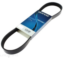 DAYCO Belt Multi Acc FOR